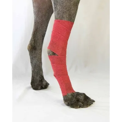 Yapiskanli Bandaj 10 cm x 4.5 M Beyaz - Hemen Satin Al! | Modern Çiftlik