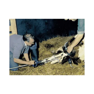 Dogum Krikosu HK 2060 Plastik Gövdeli - Hemen Satin Al! | Modern Çiftlik