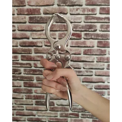  Koç Teke Enseman Pensi Burdizo 23 cm