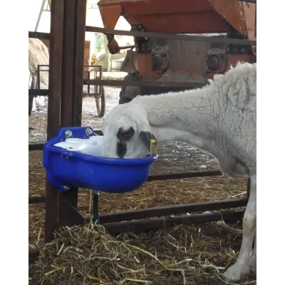 Otomatik Koyun Sulugu - Kolay Temizlik, Hizli Sulama | Modern Çiftlik