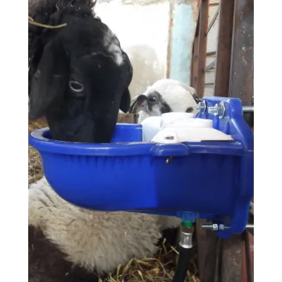 Otomatik Koyun Sulugu - Kolay Temizlik, Hizli Sulama | Modern Çiftlik