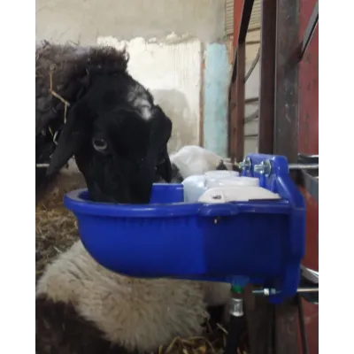 Otomatik Koyun Sulugu - Kolay Temizlik, Hizli Sulama | Modern Çiftlik