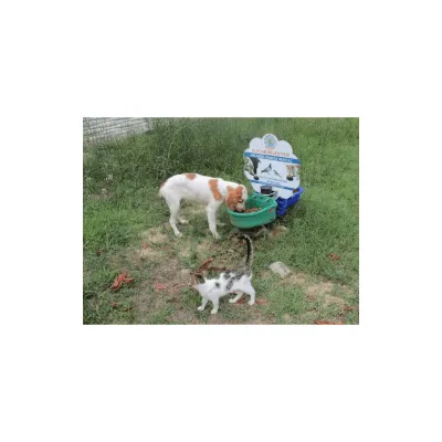 Sokak Hayvanları Su ve Mama Kabı Tekli tip Sokak Hayvanları Projemiz Farmena satın al