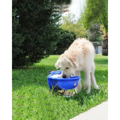 Otomatik Köpek Suluğu 4 Litre