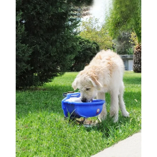 Automatic Dog Water Dispenser, 4 Liters