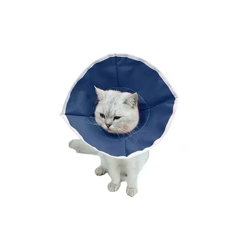 Buster Soft Katzenhalsband (10er Pack)