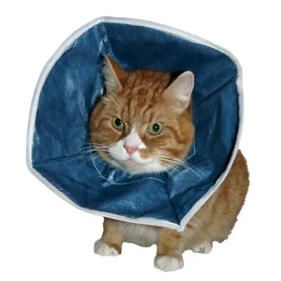  10'lu paket Buster kedi yakalığı Soft hafif esnek elizabeth tasması seti