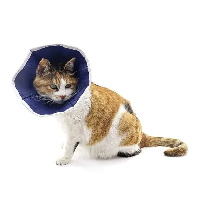 Buster Kedi Yakaligi Soft – Yumusak, Su Geçirmez, 10’lu Paket