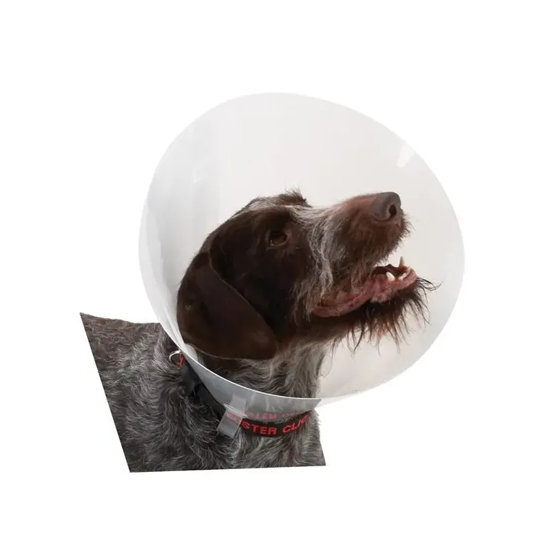 Buster Elizabeth Dog Collar, Transparent, 20 cm (Pack of 10)