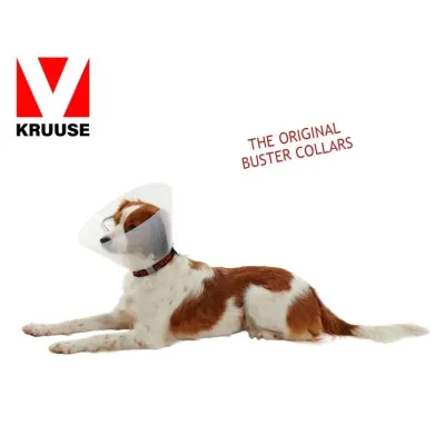  Orta boy köpek için Buster elizabeth köpek yakalığı transparan 25 cm 10'lu paket yara koruyucu
