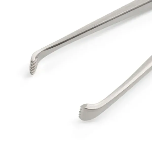 Allis Pensi 18 cm / 7.1, 5x6 Dişli