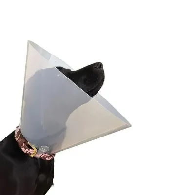 Curavet Elizabethan transparent 7.5 cm dog collar for cat clinics.