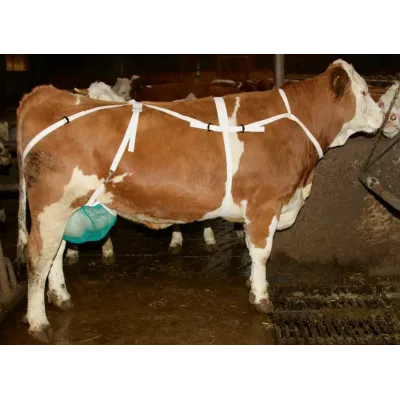 İnək Döş Bra Orta – Farmena