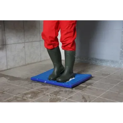 Farm-type disinfectant mat, 85x60x3 cm, shoe cleaning mat.
