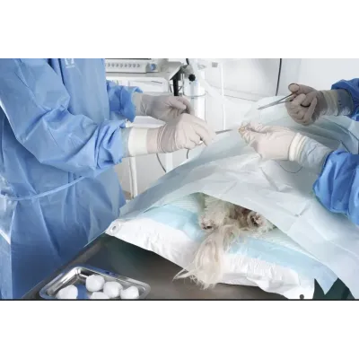 Veterinary Portuguese surgical forceps for gripping procedures
