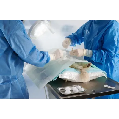 Precision veterinary surgical support with TC-tipped prosthetic needle.