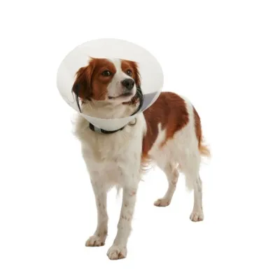 Buster Elizabeth Köpək Yaxalığı Dəsti, Şəffaf (7 ədəd Qarışıq Dəst) – KRUUSE