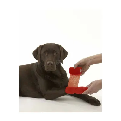 Elastik Öz-özünə Yapışan Bandaj 10 sm x 4.5 m – Farmena