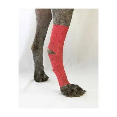 Elastic self-adhesive bandage 10 cm x 4.5 M veterinary surgical bandage