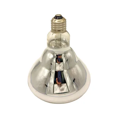 Isitici Ampul 250 Watt Beyaz - Hemen Satin Al! | Modern Çiftlik