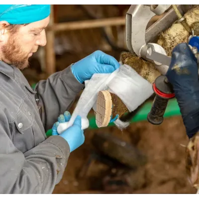 SON KALANLAR – modernciftlik.com