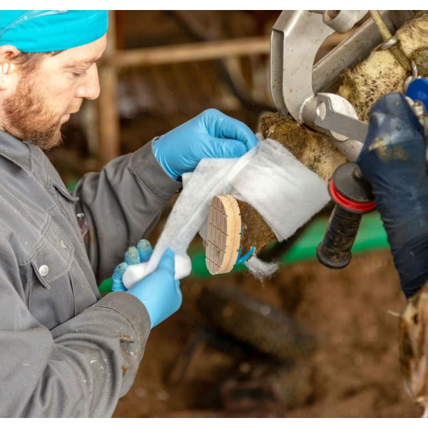 Dırnaq Doldurucu Pambıq Disklər 10x3 Metr