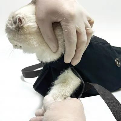 Kedi Enjeksiyon Çantası Siyah XLarge ( 6 - 8 kilo için ) Kedi Ürünleri Farmena satın al