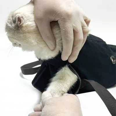 Pişiklərdə sidik yolu xəstəliklərinin müalicəsində dəqiq müdaxilə imkanı təklif edən steril və təhlükəsiz müalicə dəsti.
