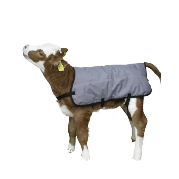 Calf Blanket Thermal 80 cm