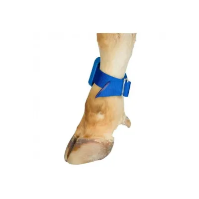 Farmena - Kaliteli Pedometre  Ayak Bandı | Modernciftlik