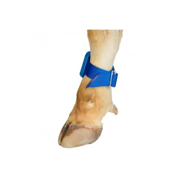 Pedometer Belt Model Foot Band