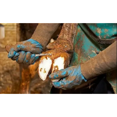 Renet Dar Ağızlı Sol Avrupa Kalite Tırnak Sağlığı Ürünleri KRUUSE satın al