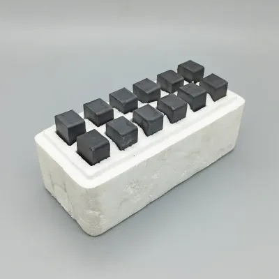 12-pack bare rumen magnets 60x20x15 mm cattle hardware protection magnets