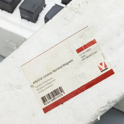 Çılpaq rumen maqniti, 60x20x15 mm, 12 ədəd, baytarlıq tibbi müalicə maqniti.