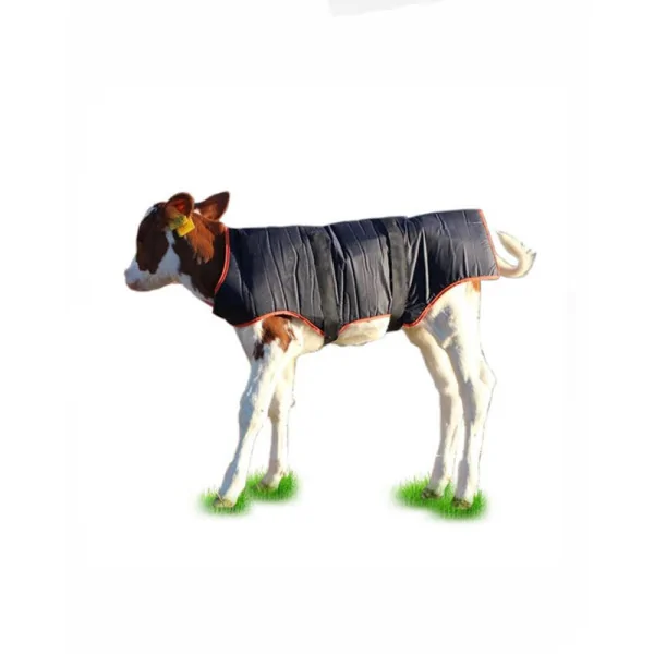 Standard Calf Blanket