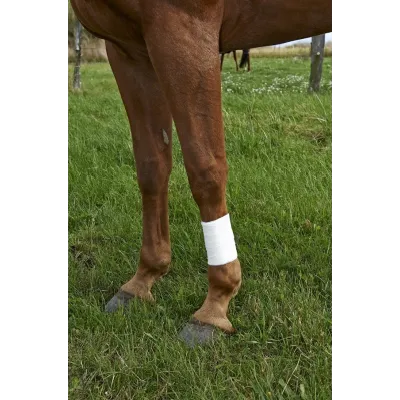 Vet-Plast sarğısı 10 sm x 4.5 m (10 ədədlik paket) – KRUUSE