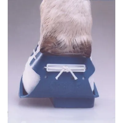 SHOF Cow Shoe Right Blue Large