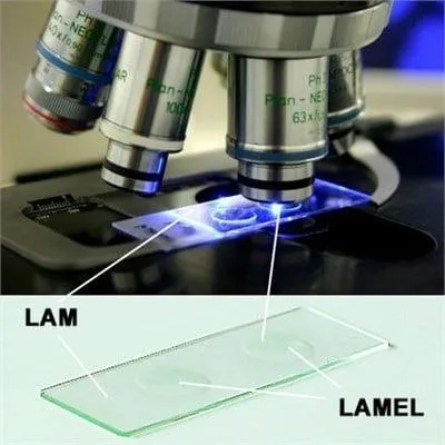 20x20 mm flat coverslip for microscopic examinations.