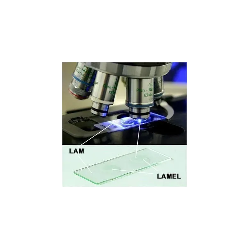 Lamel 22*22 Düz 100'lü Paket