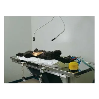 A set containing all the essential tools that enable veterinarians to perform routine surgical procedures in a practical manner.