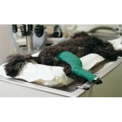 Buster Vet. Vakuumlu əməliyyat yatağı ikiqat dəst – KRUUSE