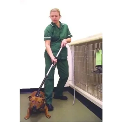 Animal control and guidance bar