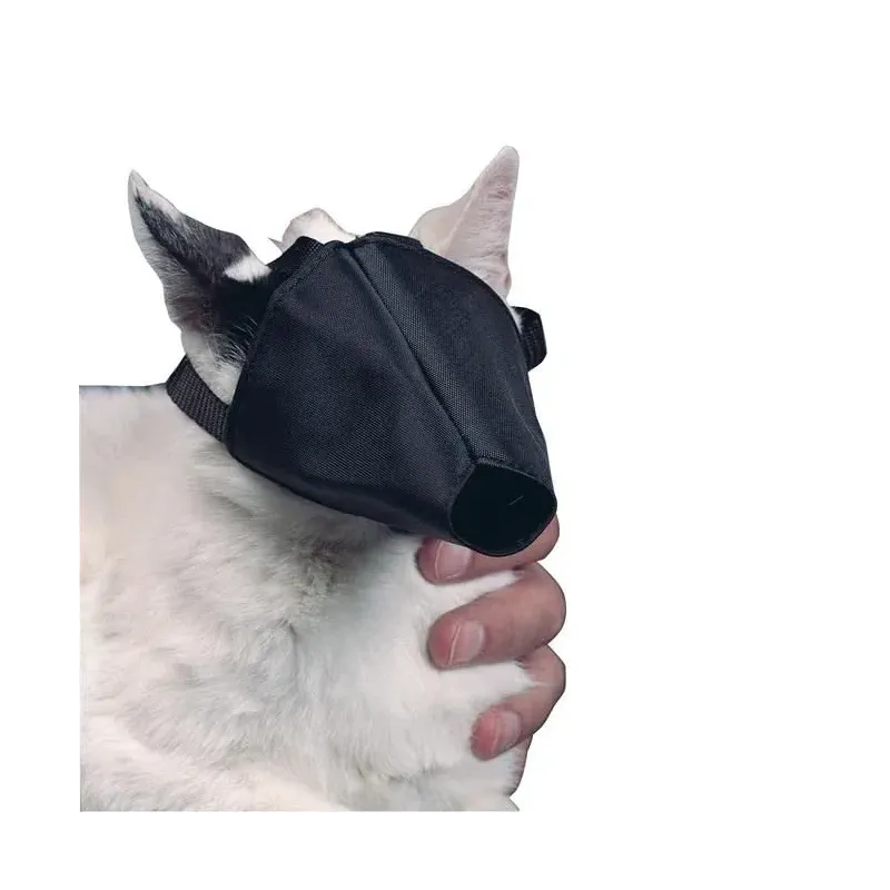 Buster Cat Muzzle
