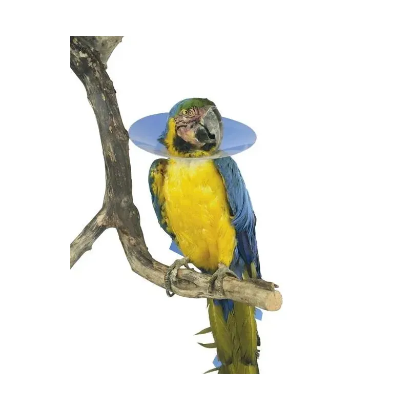 Buster Bird Halsband-Set (15 Stuecks gemischtes Set)