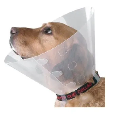 Buster Elizabeth Dog Collar Set, Click Model (Mixed Set of 20)