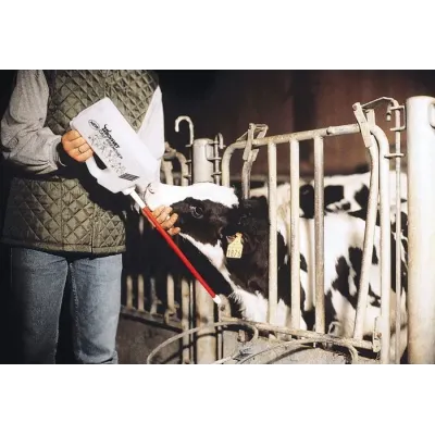 Düz hortum bağlantılı süt kabı