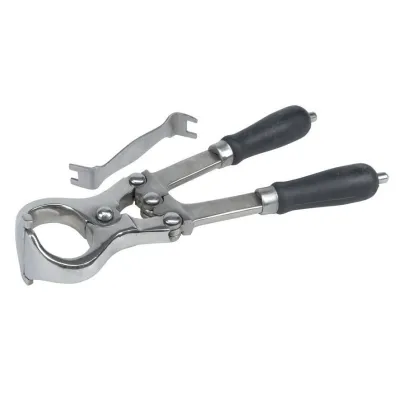 Dana Burmese Kəlbətinləri 34 sm İdxal Edilmiş – Kerbl