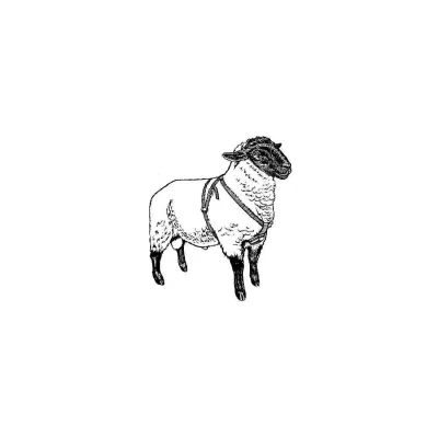 Çiftlesme Kemeri - Koç Asim Kemeri - Hemen Satin Al! | Modern Çiftlik