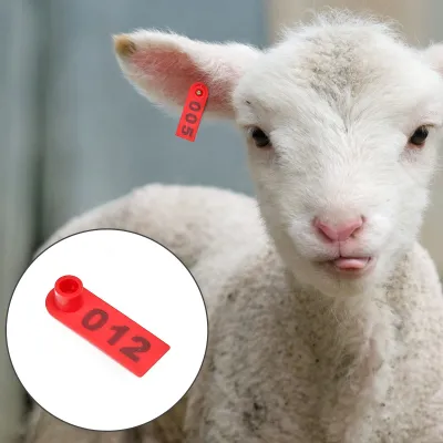 Köpek Kulak Küpesi Uzun Model - Hemen Satin Al! | Modern Çiftlik