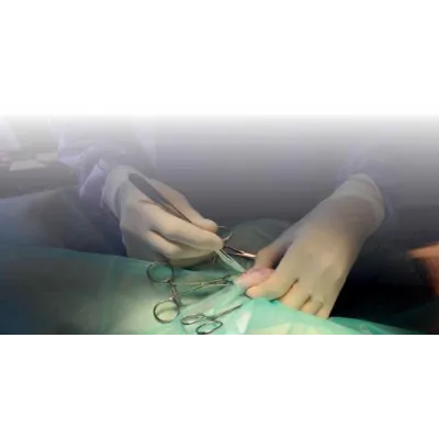 Veteriner Serviyet Bezi Yeşil 30 x 45 cm (20 Adet) Serviyet Bezi ve Absorbent Vetnordic satın al